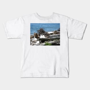 Driftwood at Lincoln Park Kids T-Shirt